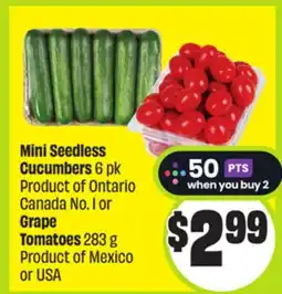 FreshCo Mini Seedless Cucumbers 6 pk Grape Tomatoes 283 g offer