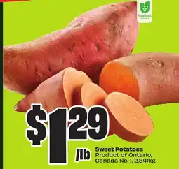 FreshCo Sweet Potatoes Product of Ontario, Canada No. 1,2.84/kg offer