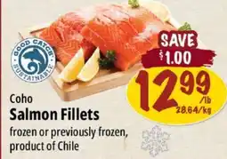Farm Boy Salmon Fillets offer