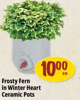 Farm Boy Frosty Fern in Winter Heart Ceramic Pots offer