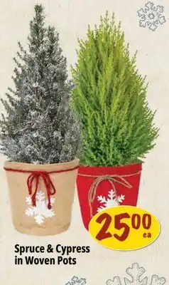 Farm Boy Spruce & Cypress in Woven Pots offer