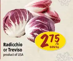 Farm Boy Radicchio or Treviso offer