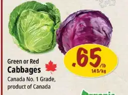 Farm Boy Green or Red Cabbages offer