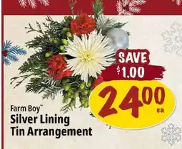 Farm Boy Farm Boy Silver Lining Tin Arrangement offer