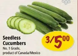 Farm Boy Seedless Cucumbers offer