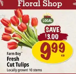 Farm Boy Farm Boy Fresh Cut Tulips offer