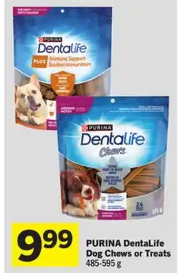 Foodland PURINA DentaLife Dog Chews or Treats offer