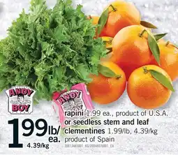 Fortinos RAPINI OR SEEDLESS STEM AND LEAF CLEMENTINES offer