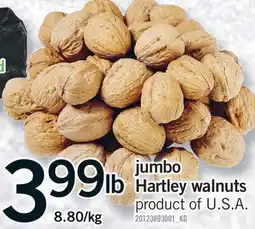 Fortinos JUMBO HARTLEY WALNUTS offer