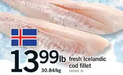 Fortinos FRESH ICELANDIC COD FILLET offer