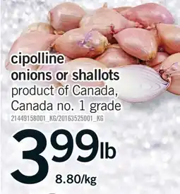 Fortinos CIPOLLINE ONIONS OR SHALLOTS offer