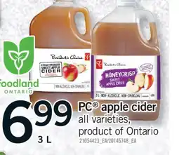 Fortinos PC APPLE CIDER, 3 L offer