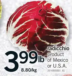 Fortinos RADICCHIO offer