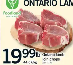 Fortinos ONTARIO LAMB LOIN CHOPS offer