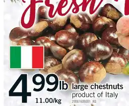 Fortinos LARGE CHESTNUTS offer
