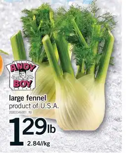 Fortinos LARGE FENNEL offer