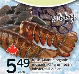 Fortinos FRESH ATLANTIC ORGANIC MUSSELS 907 G LOBSTER TAIL 2-3 OZ offer