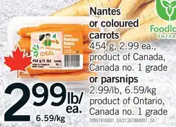 Fortinos NANTES OR COLOURED OR COLOURED CARROTS, 454 G OR PARSNIPS offer