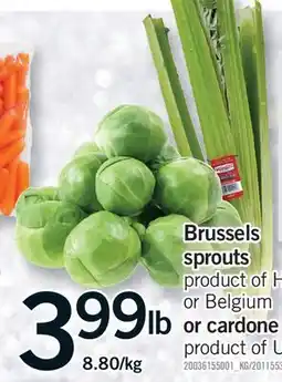 Fortinos BRUSSELS SPROUTS OR CARDONE offer