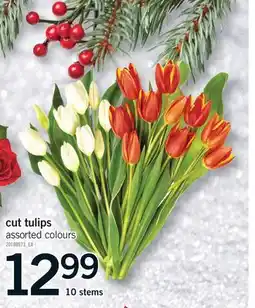 Fortinos CUT TULIPS, 10 STEMS offer