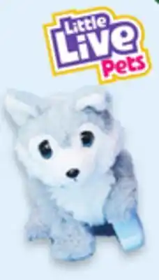 Walmart Ouchies Husky offer