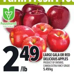 Metro LARGE GALA OR RED DELICIOUS APPLES offer