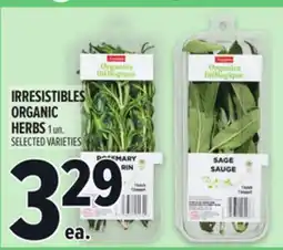 Metro IRRESISTIBLES ORGANIC HERBS offer
