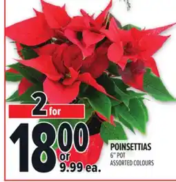 Metro POINSETTIAS offer