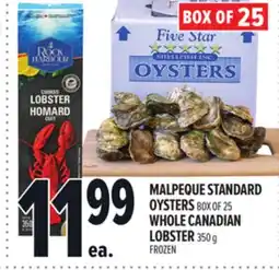 Metro MALPEQUE STANDARD OYSTERS offer