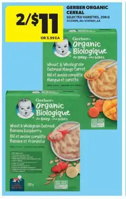 Real Canadian Superstore GERBER ORGANIC CEREAL, 208 G offer