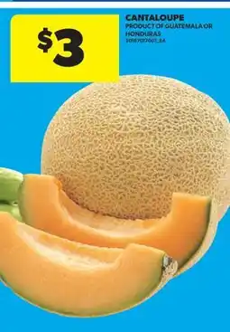 Real Canadian Superstore CANTALOUPE offer