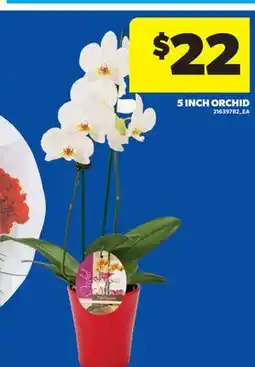 Real Canadian Superstore 5 INCH ORCHID offer