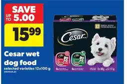 Real Canadian Superstore CESAR WET DOG FOOD, 12X100 G offer