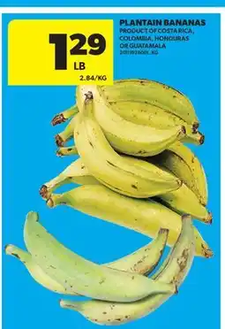 Real Canadian Superstore PLANTAIN BANANAS offer