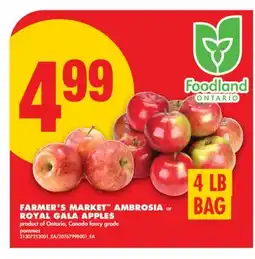 No Frills FARMER'S MARKET AMBROSIA or ROYAL GALA APPLES, 4 LB BAG offer