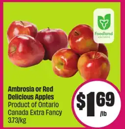 Chalo FreshCo Ambrosia or Red Delicious Apples Product of Ontario Canada Extra Fancy 3.73/kg offer