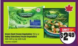 Chalo FreshCo Green Giant Frozen Vegetables 750 g or Valley Selections Frozen Vegetables 400-500 g offer