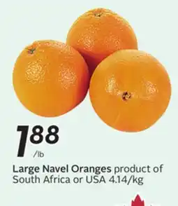 Sobeys Large Navel Oranges offer