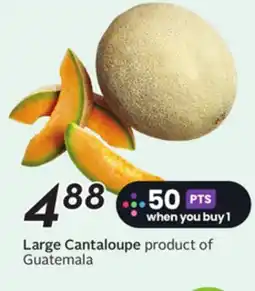 Sobeys Large Cantaloupe offer