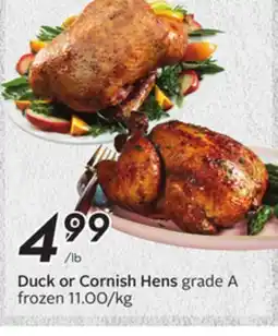 Sobeys Duck or Cornish Hens offer
