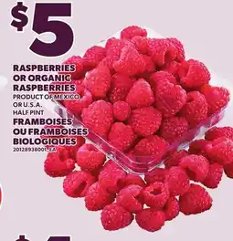 Independent Grocer RASPBERRIES OR ORGANIC RASPBERRIES, HALF PINT offer