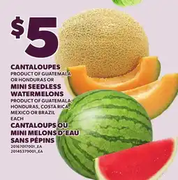 Independent Grocer CANTALOUPES OR MINI SEEDLESS WATERMELONS offer