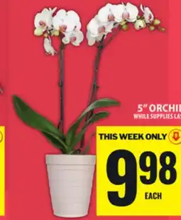 Food Basics 5 ORCHID offer