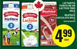 Food Basics LACTANTIA PURFILTRE OR LACTOSE FREE MILK, BEATRICE CHOCOLATE MILK offer