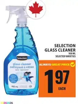 Food Basics SELECTION GLASS CLEANER offer