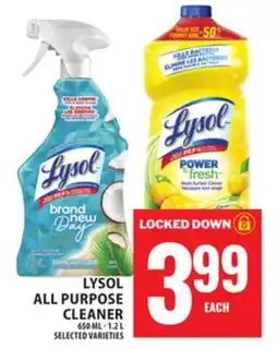 Food Basics LYSOL ALL PURPOSE CLEANER offer