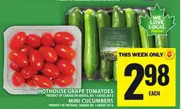 Food Basics HOTHOUSE GRAPE TOMATOES, MINI CUCUMBERS offer