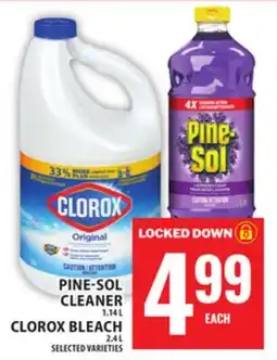 Food Basics PINE-SOL CLEANER OR CLOROX BLEACH offer
