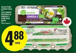 Food Basics SELECTION LARGE EGGS OR LIFE SMART NATURALIA OMEGA-3 FREE RUN EGGS offer