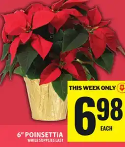 Food Basics 6 POINSETTIA offer